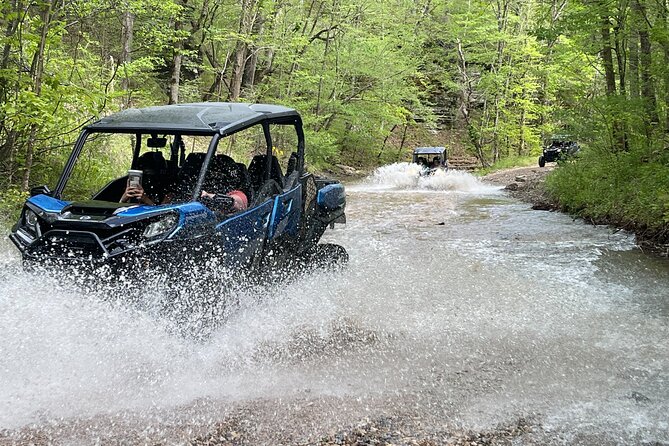 4 Hour Back Country Can-Am Experience - Franklin-area backcountry: the ride’s real rhythm