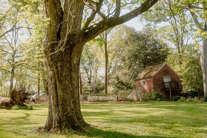 Belle Meade Guided Mansion Tour with Complimentary Wine Tasting - A Nashville Classic With a Wine Stop Attached
