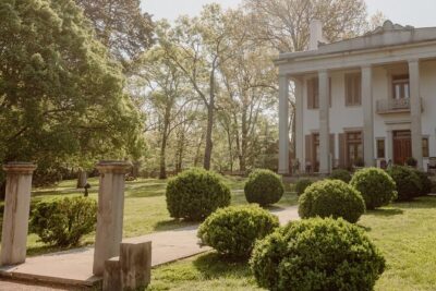 Belle Meade Guided Mansion Tour with Complimentary Wine Tasting - Price and what it buys you: $33 worth of time on site