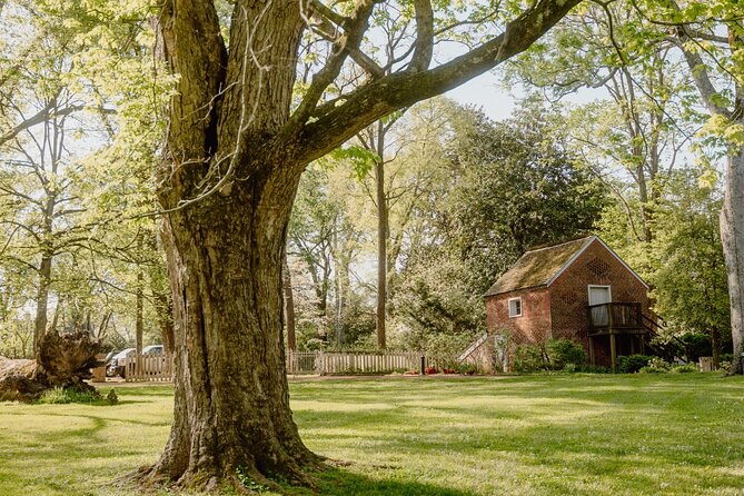 Belle Meade Guided Mansion Tour with Complimentary Wine Tasting - After the Tour: Grounds and Outbuildings you can do at your pace