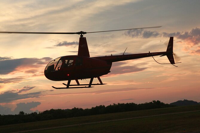 Downtown Nashville Helicopter Tour - Vanderbilt University: the green pocket inside the city grid