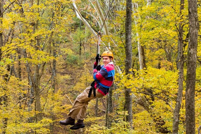 Fontanel Zipline Forest Adventure at Nashville North - Safety-First Coaching Without Being Stiff