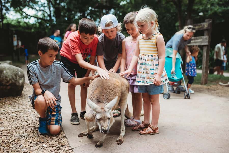 Nashville Zoo: Any-Day Admission Ticket - Your 3-Hour Game Plan: Expedition Peru, Tiger Crossroads, and Bamboo Trail