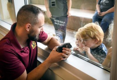 Nashville Zoo: Any-Day Admission Ticket - Skip-the-Line Entry: How to Use It Without Wasting Time
