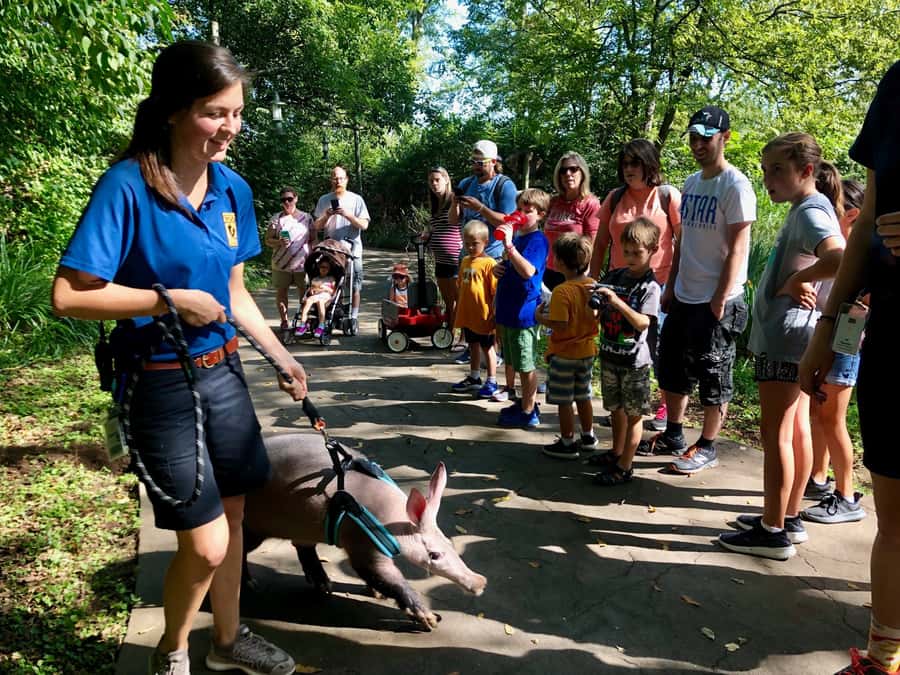 Nashville Zoo: Any-Day Admission Ticket - Extra Thrills That Cost More: Soaring Eagle, Carousel, Wilderness Express, and 4D